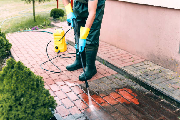 Best Dumpster Area Cleaning  in Mount Sterling, IL